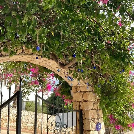 Bed & Breakfast Marquis Blue *